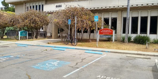 Adult Mental Health Services